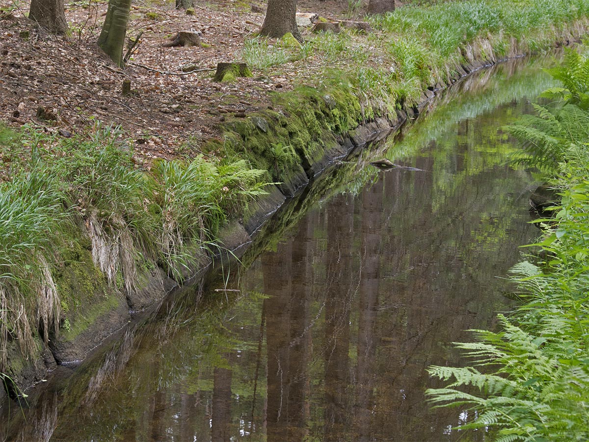Schwemmkanal